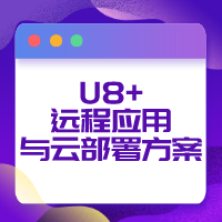 U8+远程应用与云部署方案