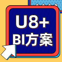 U8+ BI